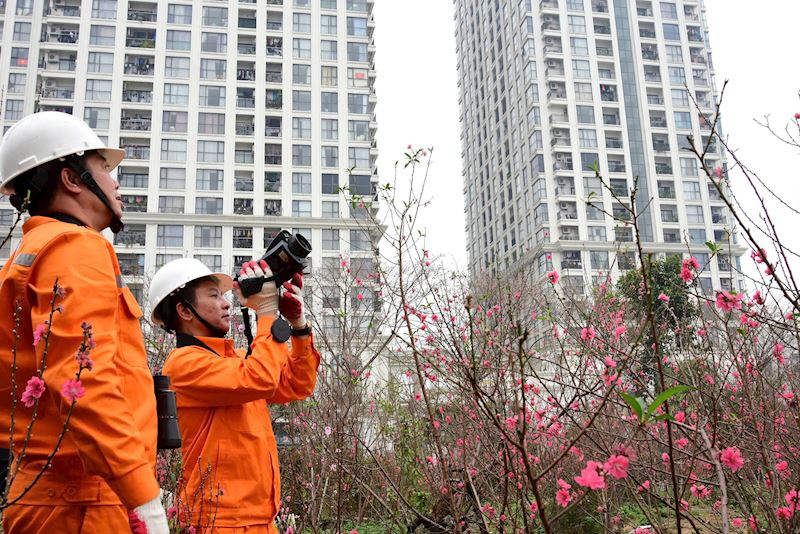 232kiemtradientrongTet